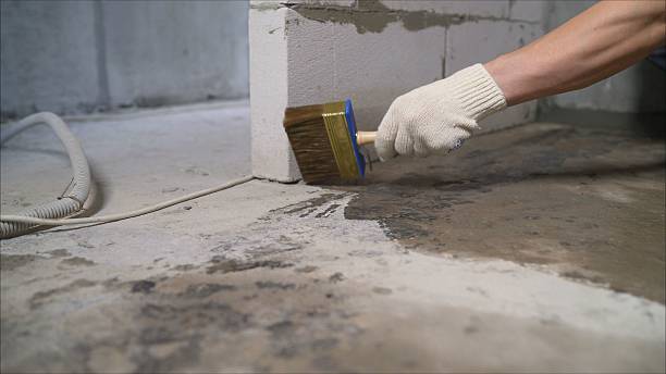 SJ Waterproofing Pros Waterproofing coverage map for Whiteland, IN and surrounding area